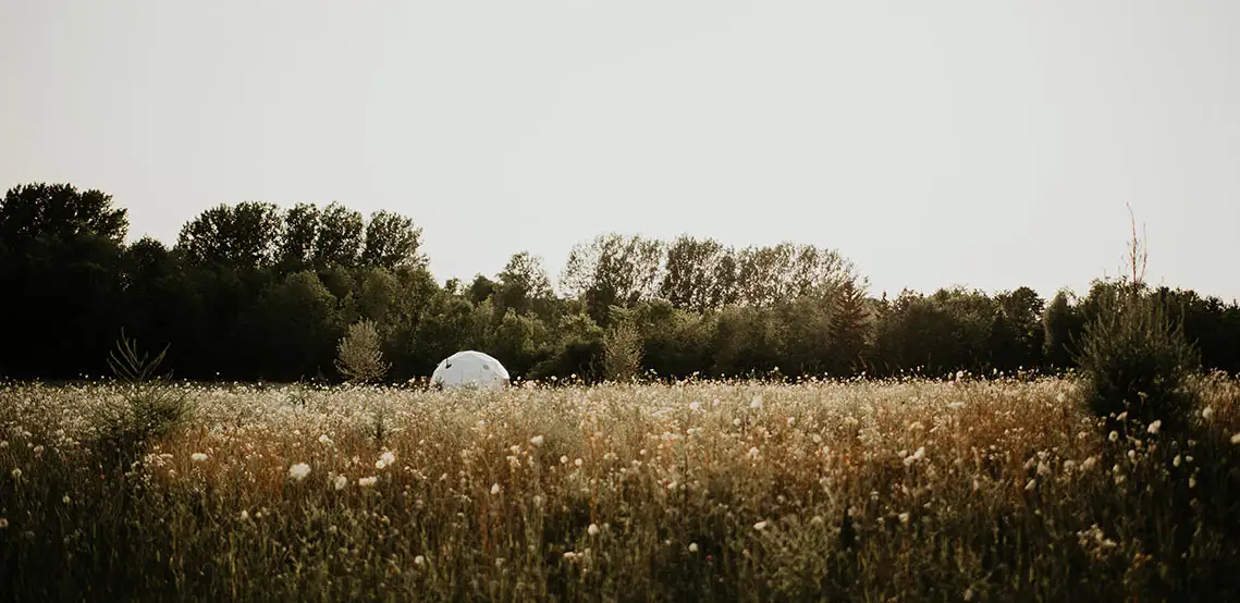 Back Forty Glamping Images