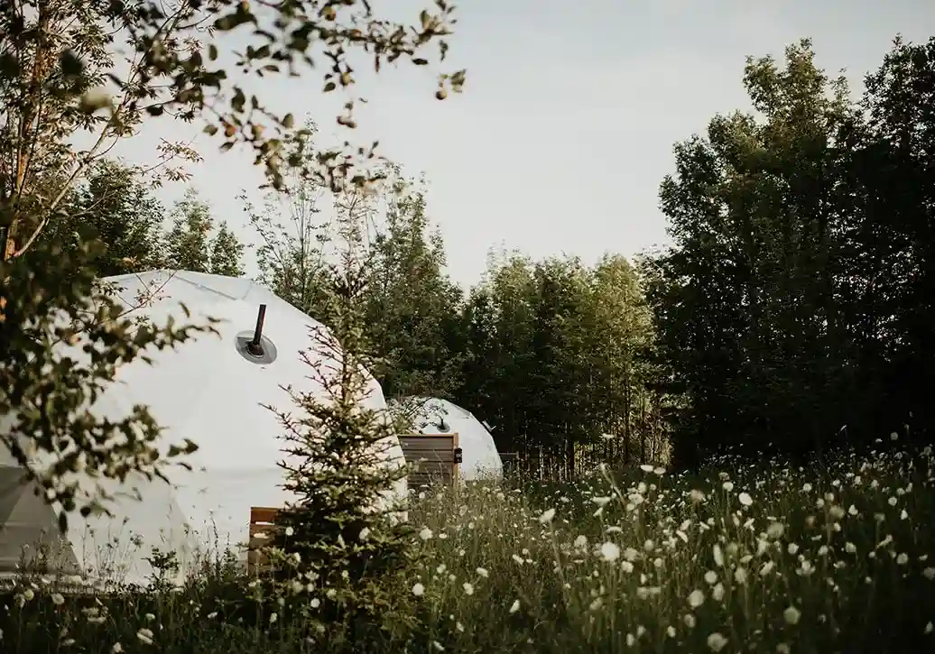 Exterior of Forest Domes
