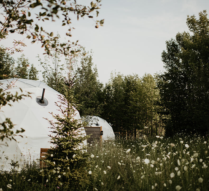 Exterior of Forest Domes