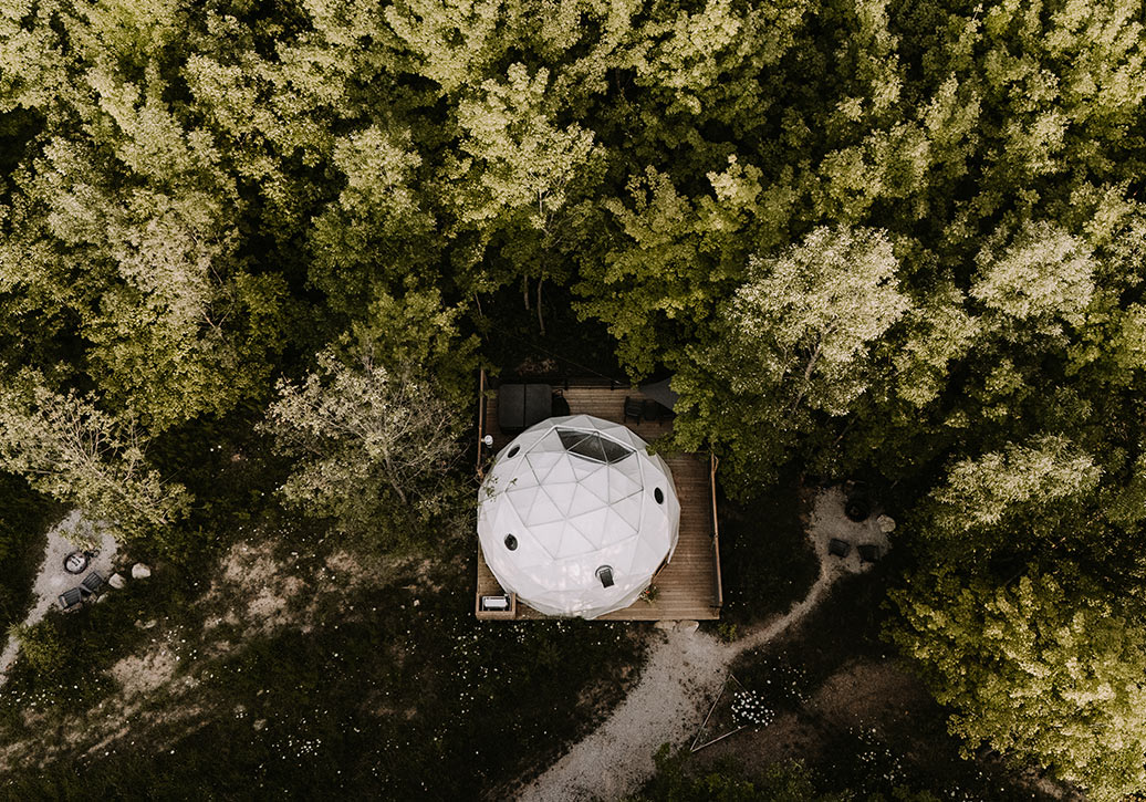 Forest Dome Aerial View