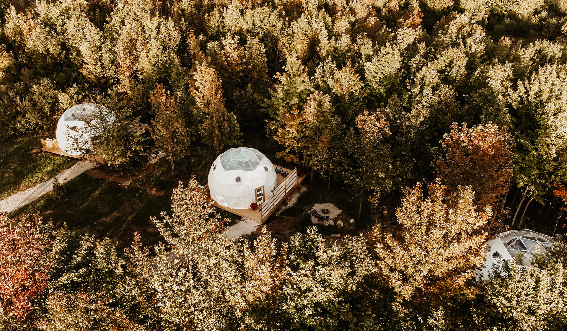 Forest Dome Drone Shot