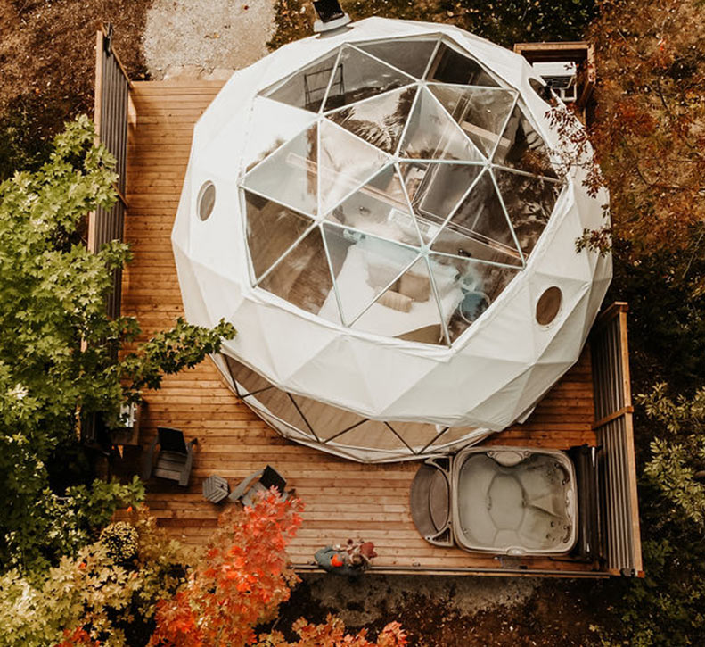 Forest Dome Fall Drone Shot