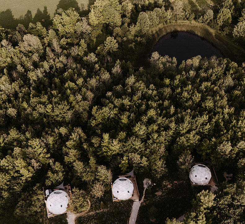Forest Domes Summer Drone Shot