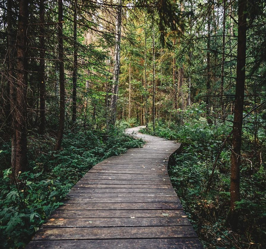 Hibou Conservation Area