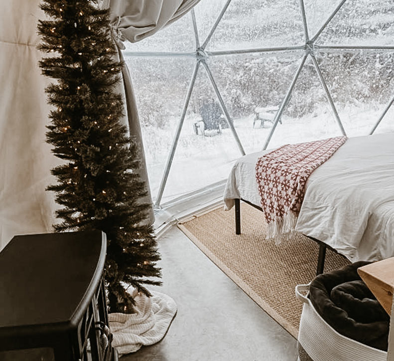 Meadow Dome at Christmas with Tree