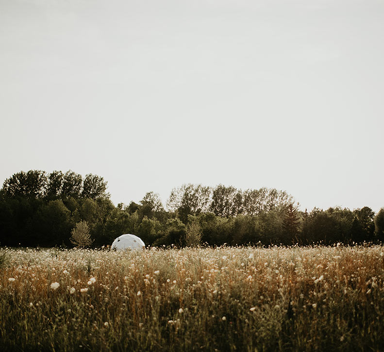 Meadow With Dome In Distance