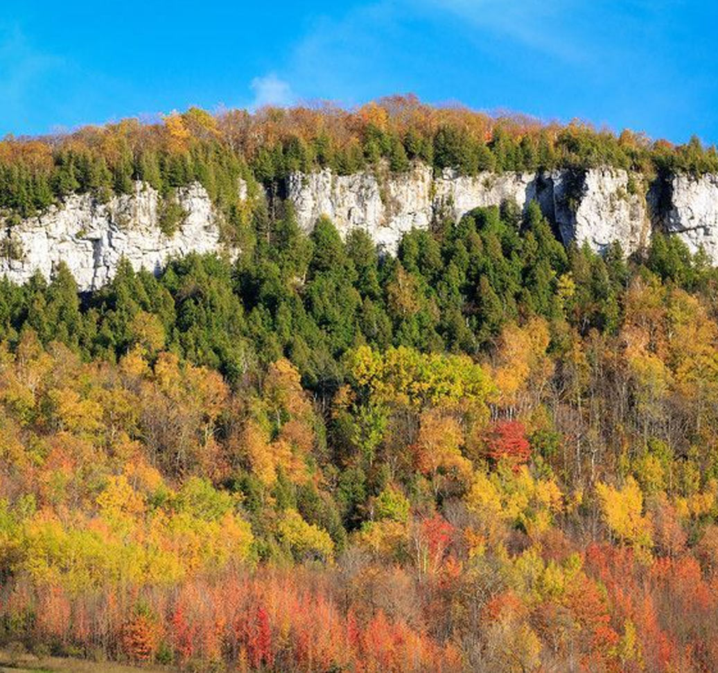 Old Baldy Conservation Area