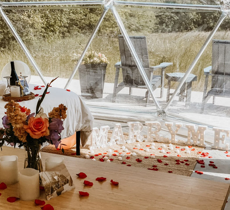 Proposal Setup-Meadow Dome