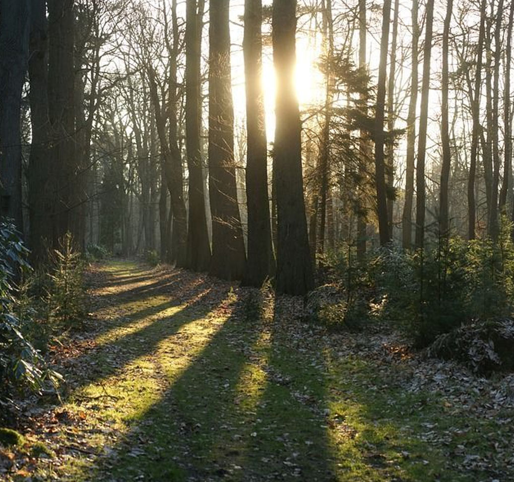 Singhampton Caves Trail